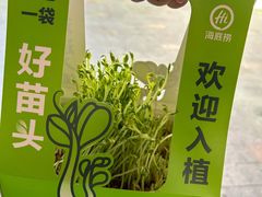 -海底捞火锅(石狮泰禾广场店)