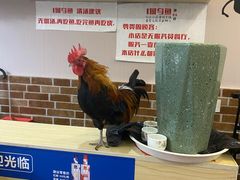 -重庆何乌鱼(南湖逸家店)