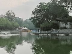 -莲湖公园