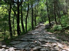 -阳台山自然风景区