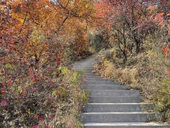 -北京西山国家森林公园