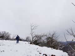 -武陵山森林公园