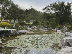 -东莞植物园