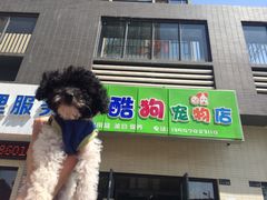 -喵宠乐园·撸猫互动·猫舍