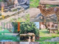 -杭州野生动物世界