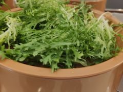 苦菊-龍歌自助小火锅(李沧丽达店)