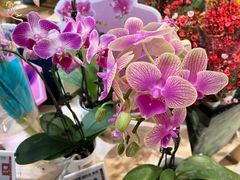 -盒马鲜生(首义店)