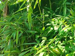 -丽泽山庄·生态怀柔菜·虹鳟鱼(红螺寺店)