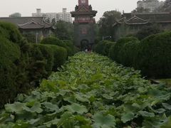 -四川大学(华西校区)