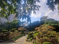 -中山公园