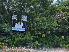 -广州长隆野生动物世界