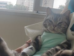 -美联众合动物医院·24h京西诊疗中心