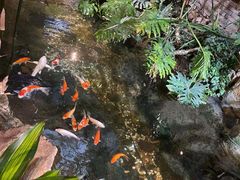 -聚缘堂·海鲜私房菜(松岭路店)