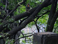 -黔灵山公园