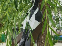 -翠云山银河滑雪场