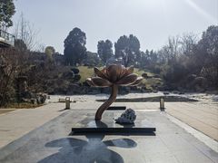 -天目湖涵田度假村