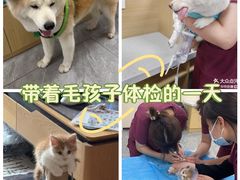 -美联众合爱康动物医院•复杂内科•肿瘤科•牙科•腔镜诊疗中心