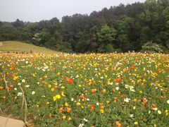 -保利石象湖景区