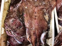 -东方国际水产中心