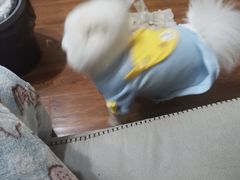 -卷五味·李老二卷馍(学则路店)