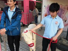 -上海马戏城
