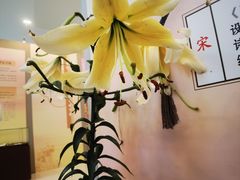 -中国农业博物馆