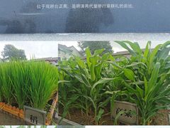 -北京古代建筑博物馆