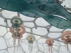 -水立方嬉水乐园