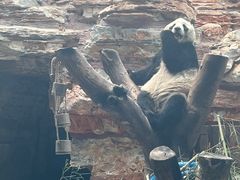 -石家庄市动物园