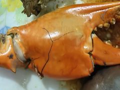 -老财炒饭·熟地蟹·冬瓜蟹