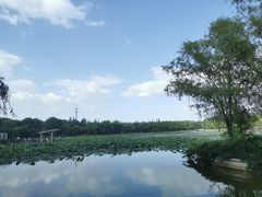 -廊坊市自然公园