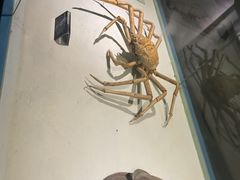 -泉城欧乐堡海洋极地世界