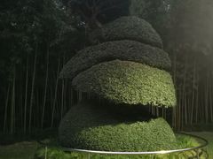 -苏州河梦清园环保主题公园