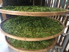 -阿巧茶庄