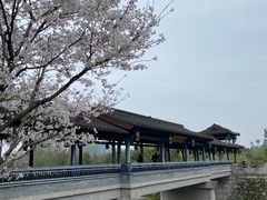 -兰亭风景区
