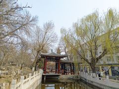 -桃花堤公园