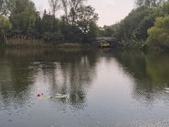 -溱湖国家湿地公园