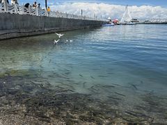-青海湖二郎剑景区
