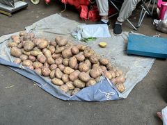 -南门绿玉农贸市场