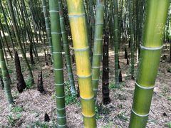 景点-采石矶景区