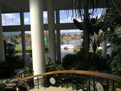 -云南滇池花园国际大酒店温泉