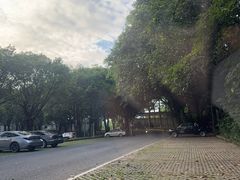 -东莞植物园