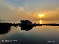 -上海吴淞炮台湾国家湿地公园