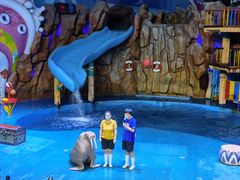 -烟台海昌鲸鲨海洋公园