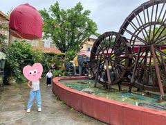 -品德宏·孔雀宴的发源地(金塔园店)