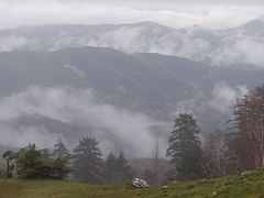 -老秃顶草原景区