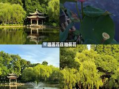 -衣裳街历史文化街区