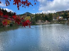 -四明山国家森林公园