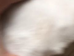 -联合动物医院(光谷诊疗中心)