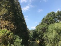 -同里国家湿地公园